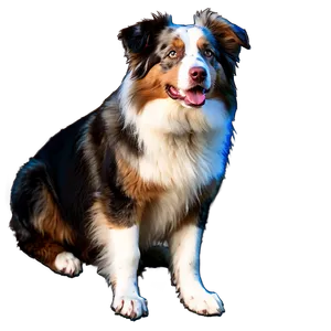 Australian Shepherd Laying Down Png Sht63 PNG Image