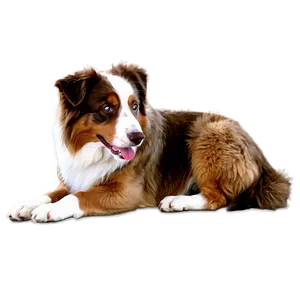 Australian Shepherd Sitting Png Ths51 PNG Image