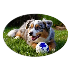 Australian Shepherd With Ball Png Xjb PNG Image