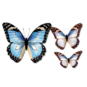 Authentic Butterfly Graphic Png Pqk69 PNG Image