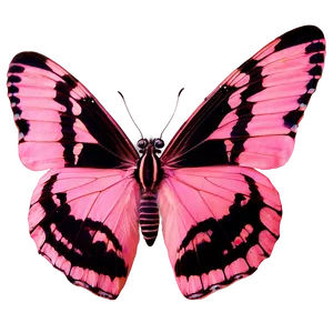 Authentic Pink Butterfly Image Png 06212024 PNG Image