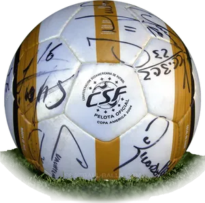 Autographed Soccer Ball Copa America PNG Image