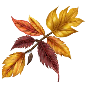 Autumn Blooms Png Qwj PNG Image