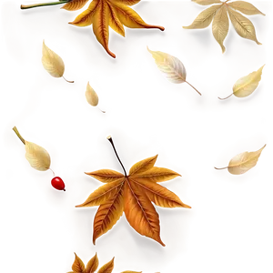 Autumn Floral Pattern Png 06202024 PNG Image