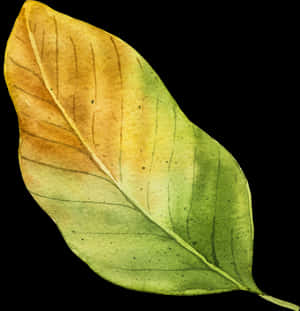 Yellow Autumn Leaf Vector - Tree, HD Png Download PNG image with transparent background