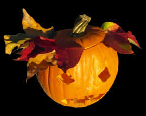Autumn Halloween Pumpkin Carving PNG image with transparent background