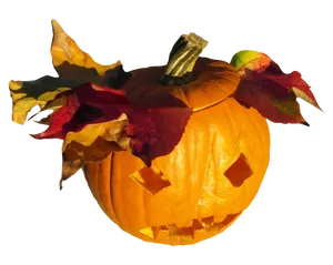 Autumn Halloween Pumpkin Carving PNG Image