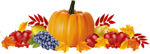 Clip Art Pumpkin With Free Picture - Pumpkins And Leaves Hd, HD Png Download PNG