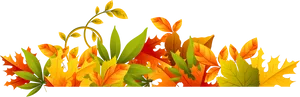 Autumn_ Leaf_ Border_ Design PNG Image