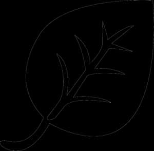 Leaf - Fall Leaf Svg Free, HD Png Download PNG image with transparent background