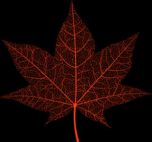 Transparent Red Autumn Leaf Png Clip Art Image - Transparent Autumn Leaves, Png Download PNG image with transparent background