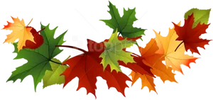 Autumn_ Leaves_ Against_ Black_ Background PNG Image