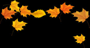 Autumn_ Leaves_ Against_ Black_ Background.jpg PNG image with transparent background