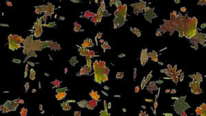 Autumn_ Leaves_ Against_ Dark_ Background.jpg PNG image with transparent background