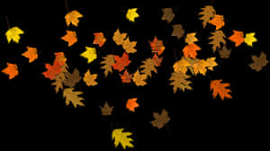 Autumn_ Leaves_ Against_ Dark_ Background.jpg PNG image with transparent background