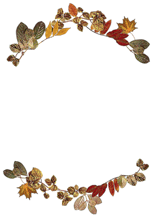 Autumn_ Leaves_ Arch_ Frame PNG image with transparent background