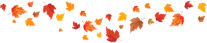 Autumn_ Leaves_ Black_ Background PNG Image