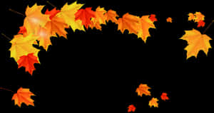 Maple Leaf Autumn - Fall Leaves Autumn Png, Transparent Png PNG image with transparent background