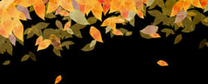 Autumn_ Leaves_ Border_ Design PNG image with transparent background