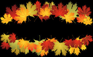 Autumn_ Leaves_ Border_ Vector PNG image with transparent background