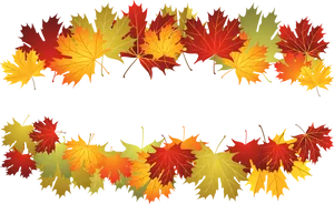 Autumn_ Leaves_ Border_ Vector PNG Image