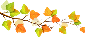 Autumn Leaves Branch Illustration PNG image with transparent background