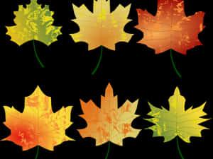 Autumn_ Leaves_ Collection PNG image with transparent background