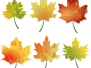 Autumn_ Leaves_ Collection PNG Image