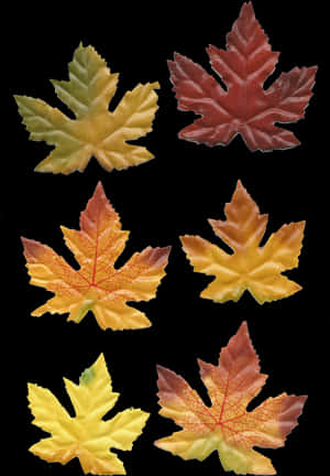 Autumn_ Leaves_ Collection.jpg PNG image with transparent background