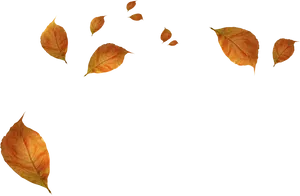 Autumn Leaves Falling Background PNG Image