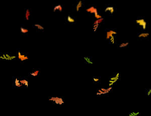 Autumn_ Leaves_ Falling_ Black_ Background.jpg PNG image with transparent background