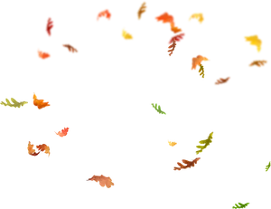 Autumn_ Leaves_ Falling_ Black_ Background.jpg PNG Image