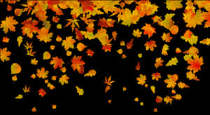 Free Png Transparent Fall Leaves Png Images Transparent - Transparent Background Fall Leaves Png, Png Download PNG with transparent background