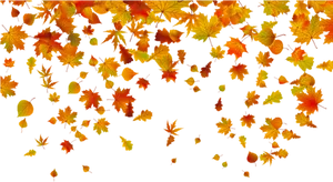 Autumn Leaves Falling Black Background PNG Image