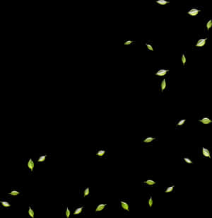 Google Images Search Engine Leaf Deciduous - Green Leaves Falling Png, Transparent Png PNG image with transparent background