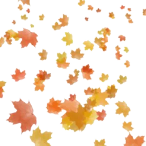 Autumn Leaves Falling Pattern PNG Image