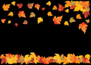 Autumn Leaves Frame Black Background.jpg PNG image with transparent background