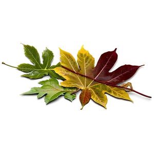 Autumn Leaves On Ground Png Xfd5 PNG Image