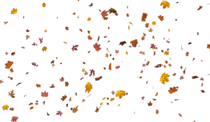 Transparent Fantasy Background Png - Leaves Cut Out Photoshop, Png Download PNG with transparent background