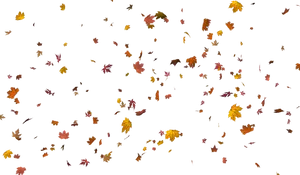 Autumn Leaves Pattern Background PNG Image