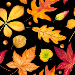 Autumn Leaves Pattern Black Background PNG image with transparent background