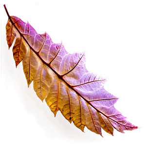 Autumn Leaves PNG 44 PNG image with transparent background