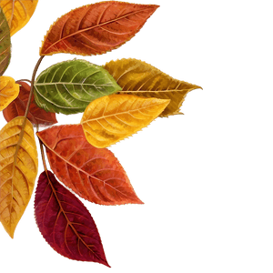 Autumn Leaves PNG 96 PNG image with transparent background