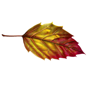 Autumn Leaves PNG faj PNG image with transparent background