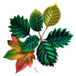 Autumn Leaves PNG jxn PNG image with transparent background