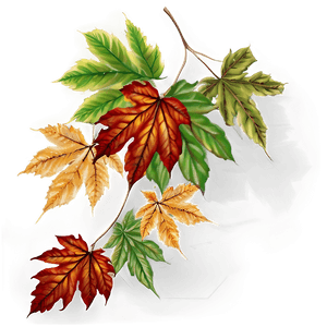 Autumn Leaves PNG vyn PNG image with transparent background