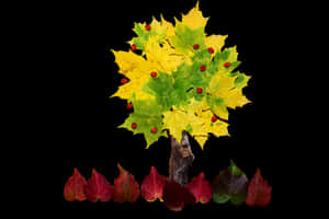 Autumn Leaves Reflection Art PNG image with transparent background