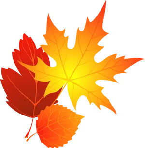 Autumn_ Leaves_ Vector_ Graphic PNG Image