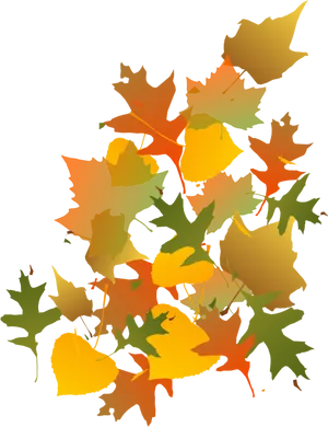 Autumn_ Leaves_ Vector_ Illustration PNG Image