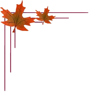 Autumn Leaves Wedding Border Design PNG Image